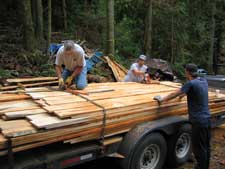 Stacking wood on a trailer for transport to the kiln
September 2007